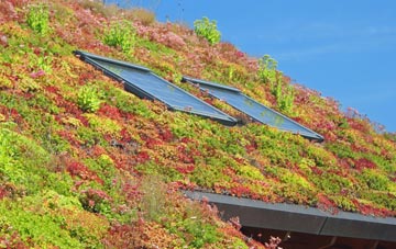 Upchurch living roof systems