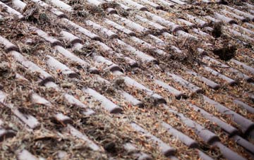 Upchurch roof cleaning companies